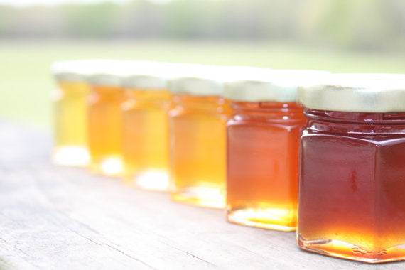 Holiday :: Honey Tasting for Rosh Hashanah