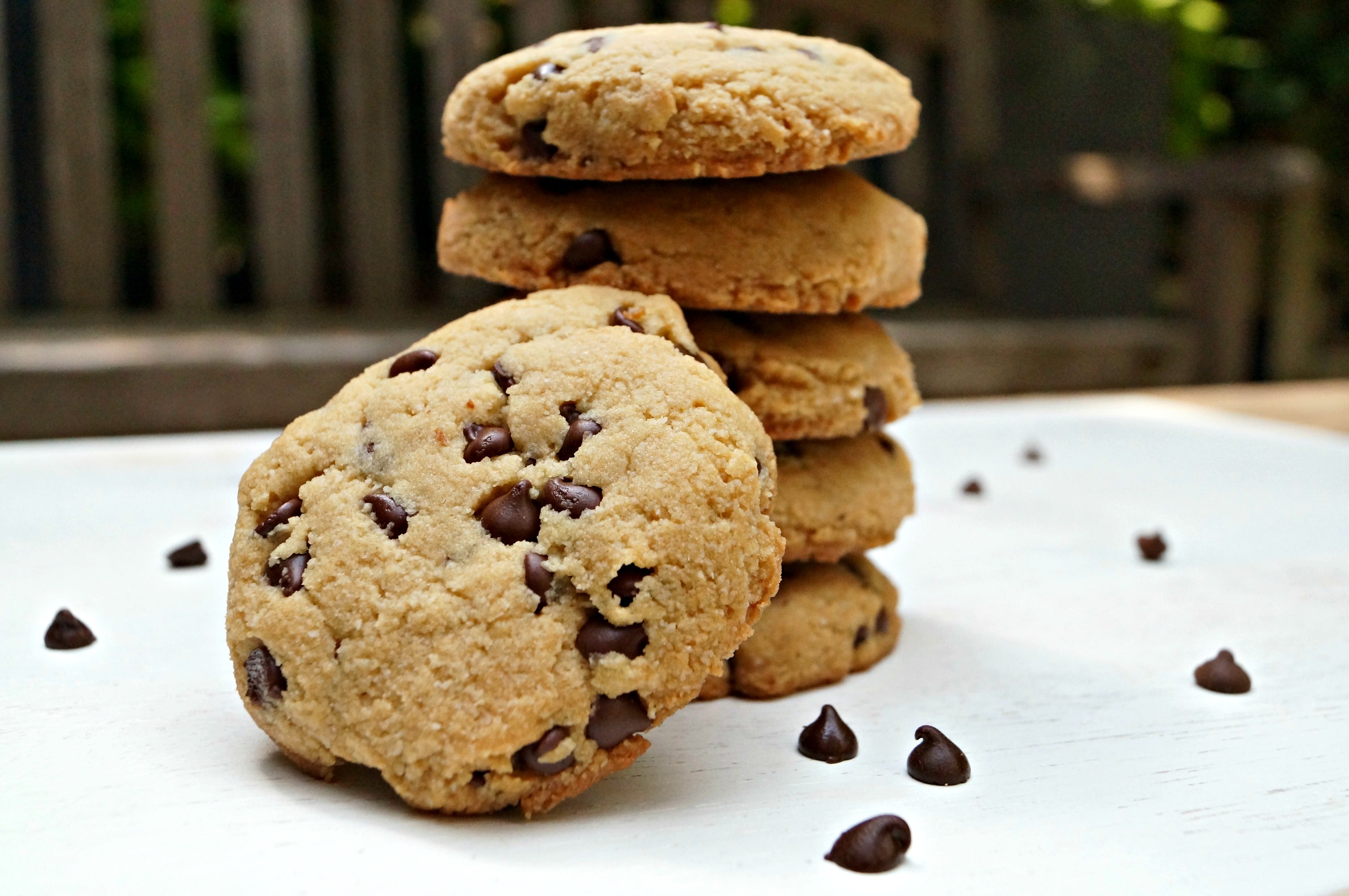  The Scoop  :: Introducing Soft-baked Chocolate Chip Cookies